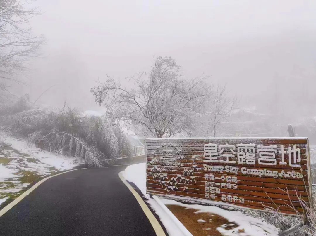 雪落无声,诗意满天中