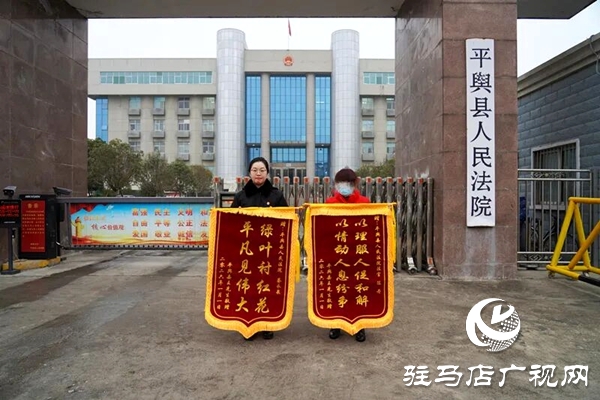 平舆县人民法院：她顶风冒雨，送来锦旗！            