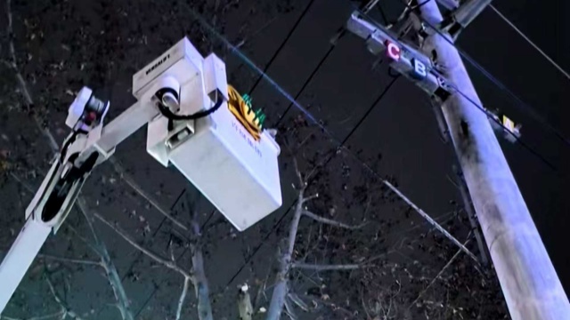 国网平舆县供电公司：带电作业清理树障 护航冬季安全用电