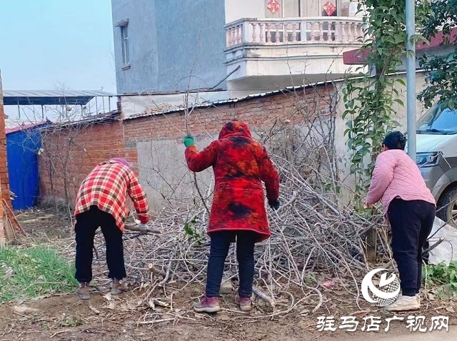 新蔡县佛阁寺镇：开展人居环境整治 助力乡村“展新颜”