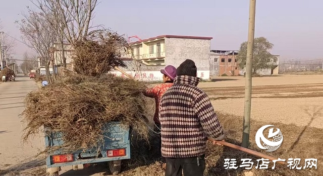 新蔡县佛阁寺镇：开展人居环境整治 助力乡村“展新颜”