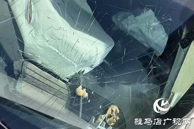 冬季行车需警惕:这些车内“温暖装饰”可能暗藏危险