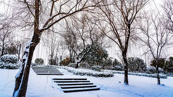 雪落玉湖 如诗如画