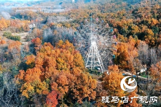 金顶山免门票迎农加会 推动&ldquo;农业+旅游&rdquo;跨界融合