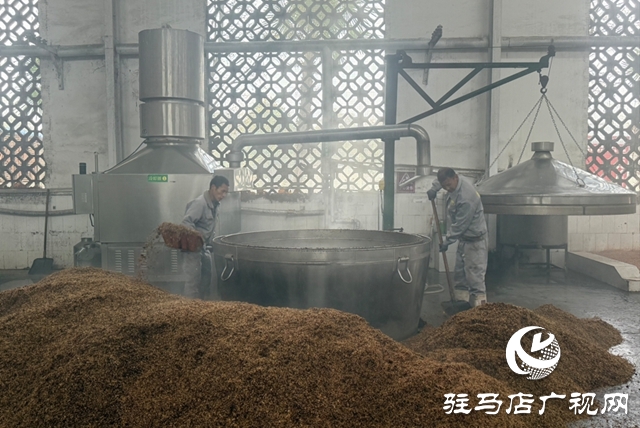 朗陵罐酒:产销两旺迎新春 全力冲刺“开门红”