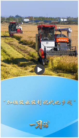 一习话&middot;迈向&ldquo;十五五&rdquo;|&ldquo;加快农业农村现代化步伐&rdquo;