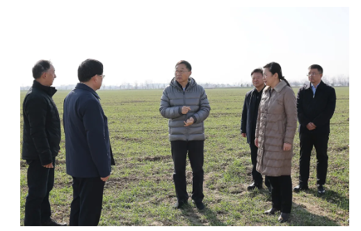 刘宁到信阳息县调研推动工作时强调：着力抓好小麦田管促苗情转化升级 发挥优势努力把农业建成现代化大产业