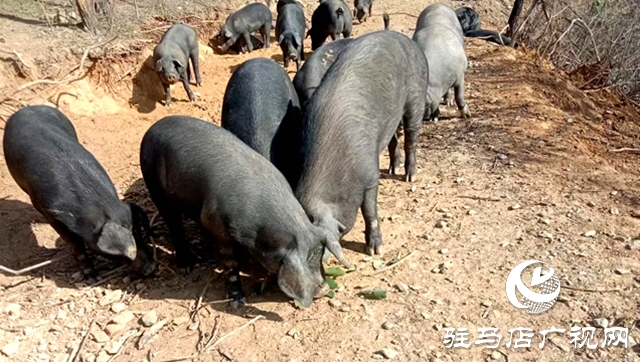 冬日送暖，爱满天中：爱心企业物资发放，回馈社会暖人心