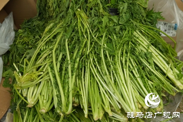 正阳县：电商赋能“土特产” 连接乡村“振兴路”