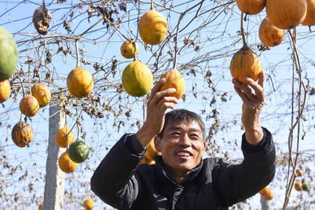 正阳县：电商赋能“土特产” 连接乡村“振兴路”