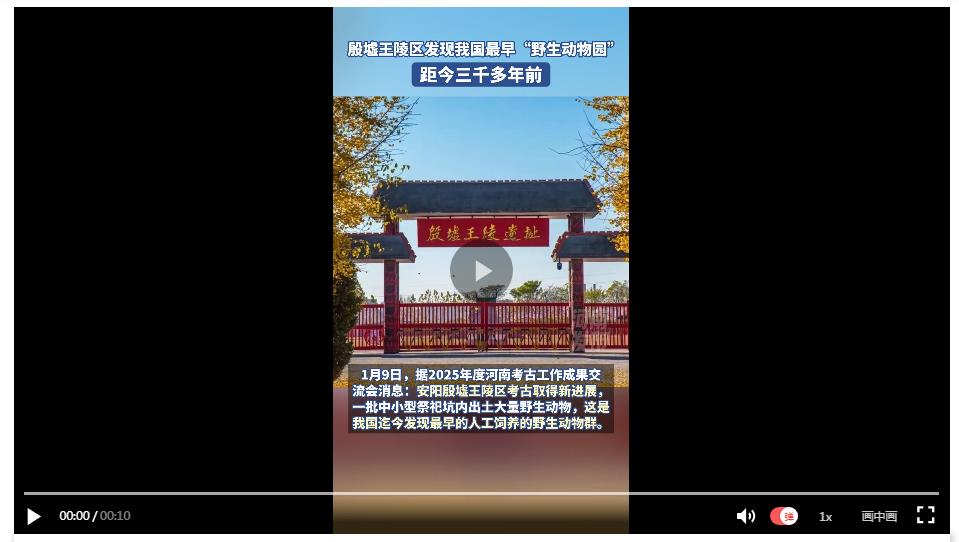 殷墟王陵区发现我国最早“野生动物园”