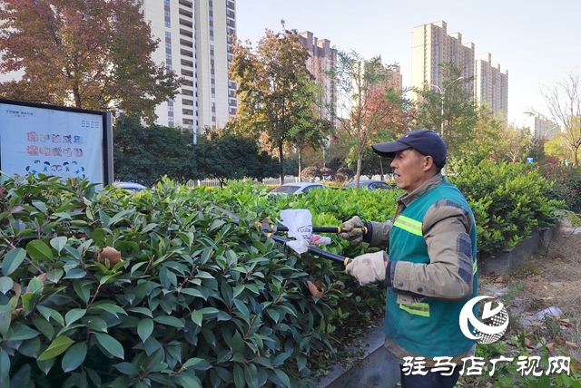 驻马店：冬季管养正当时 绿化养护忙不停 ​​​​​​​