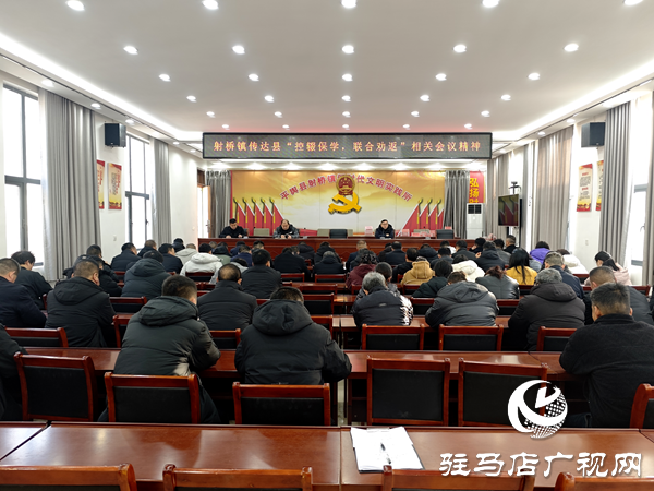 平舆县射桥镇:控辍保学抓落实 联合劝返促实效