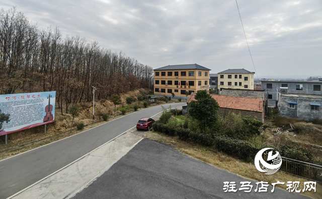 确山县：小琴弦“拨动”大产业 乡村奏响富民曲