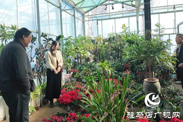 驻马店：年宵花市春意浓 “美丽经济”迎新年