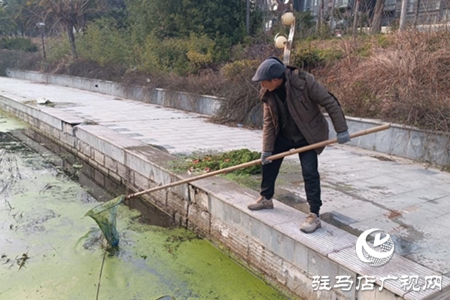 驻马店市园林绿化中心：清理开源河水草 守护河道生态环境