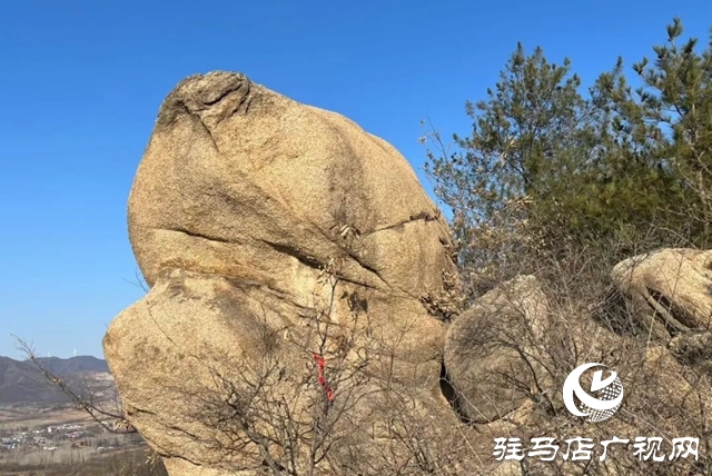 【大美天中】光影唤醒奇石 镜头定格乡愁