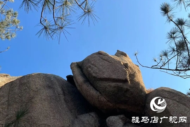 【大美天中】光影唤醒奇石 镜头定格乡愁