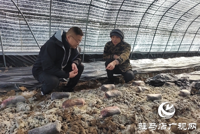 上蔡县杨屯乡杨仕位村：党建引领产业兴 乡村振兴路更宽