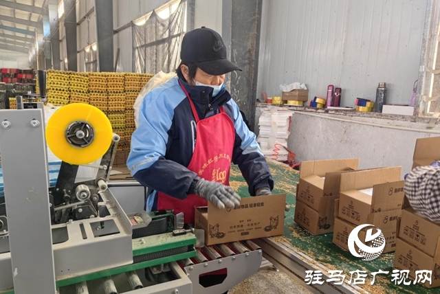 驻马店市驿城区：合作社里就业忙 乡村振兴画卷新