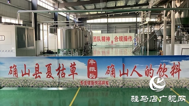 确山夏枯草“链”上发力 实现道地药材到畅销凉茶的产业跃升