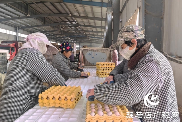 驻马店市驿城区：合作社里就业忙 乡村振兴画卷新