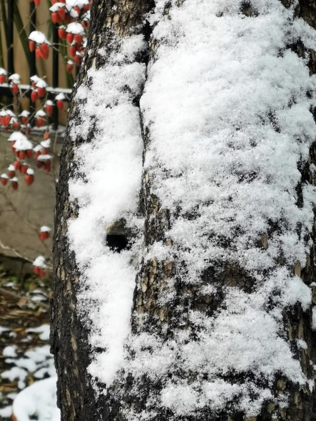 嘉源画馆——小城星火 如何照亮国展之路