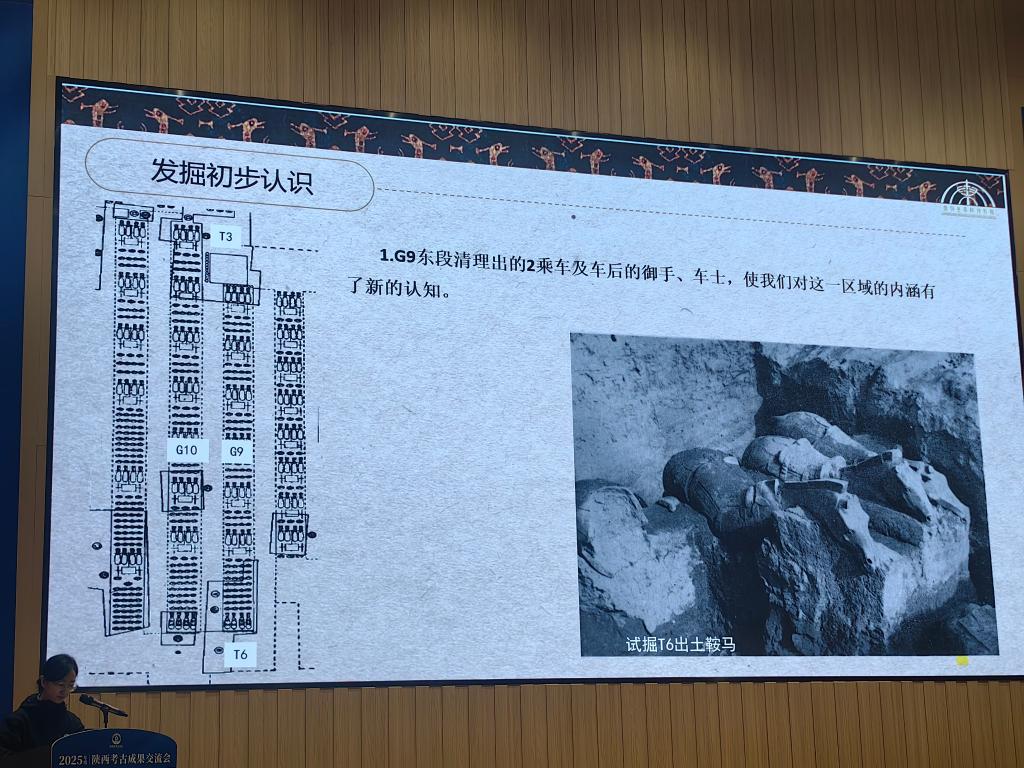 秦兵马俑考古新发现：二号坑发掘出土两乘战车