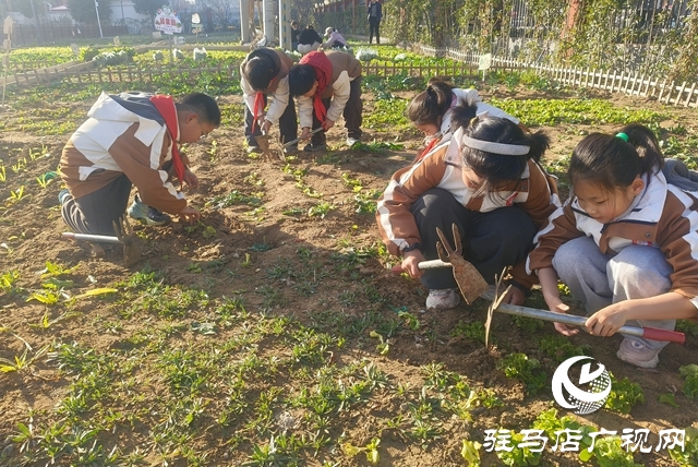 金雀路小学“爱心集市”开市！小学生变身“带货”小能手
