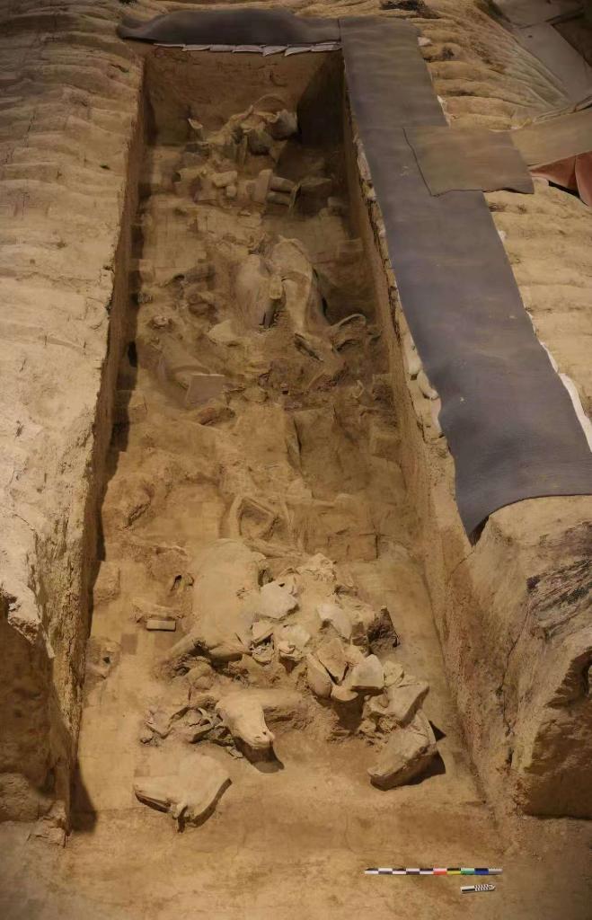 秦兵马俑考古新发现：二号坑发掘出土两乘战车