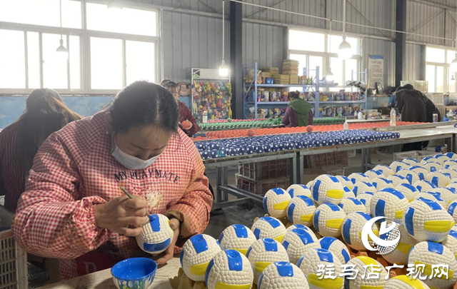 驿城区​​​​​​​：宠物玩具“萌”销海外 乡村车间托起致富梦