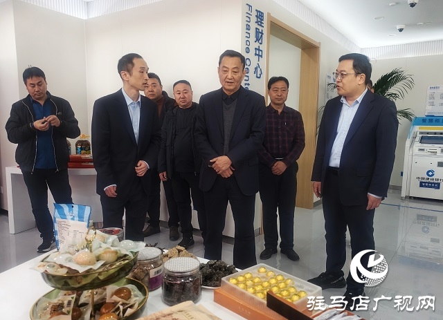 建行平舆清河大道支行开业 金融赋能平舆县域发展再添新动力