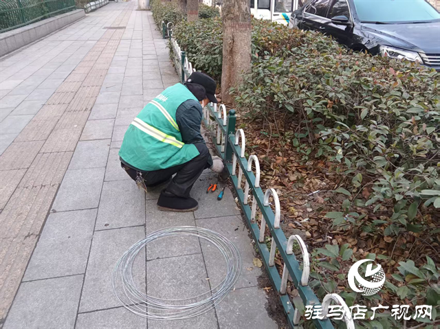  开发区城市管理事务中心：以“护”为责 开展绿化护栏维修行动