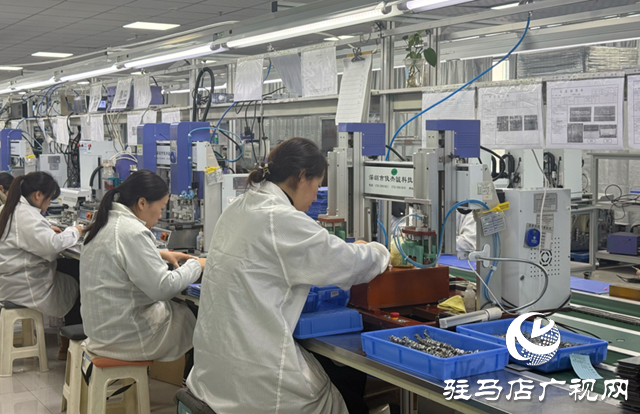 遂平微兴电子：起步即加速 满负荷生产夺“开门红”