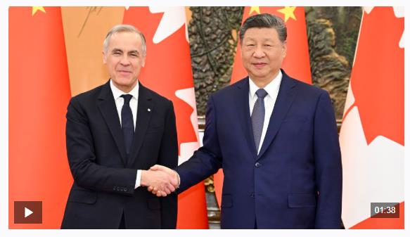 独家视频丨习近平会见加拿大总理：中加关系健康稳定发展符合两国共同利益