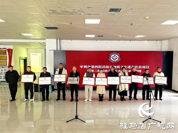 平舆县东皇街道五里社区：仁伟匠心腌就家乡味 非遗芥菜丝认证耀口碑