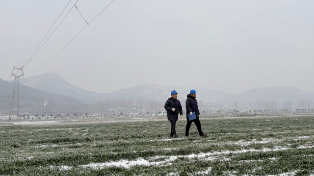 国网确山县供电公司：顶风“浴”雪 巡线保供电