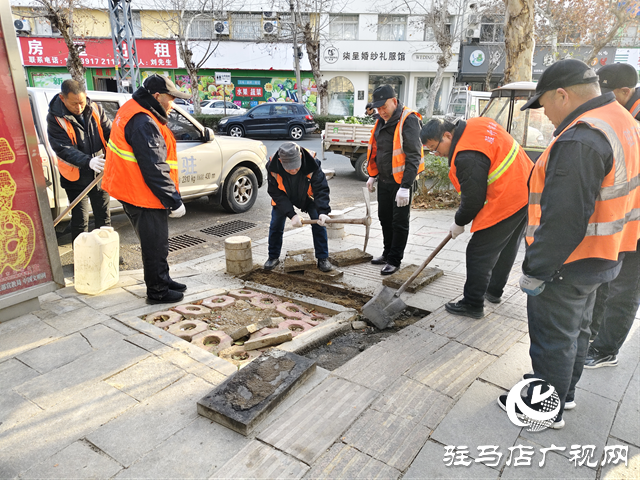  开发区城市管理事务中心:精细管养 多维发力 保障设施良好运行