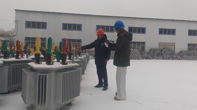 国网上蔡县供电公司：顶风冒雪战寒潮 凝心聚力保供电