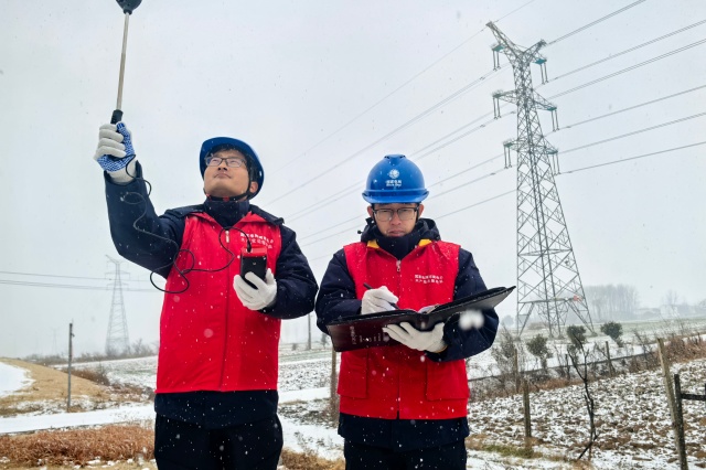 国网驻马店供电公司：全力抗击雨雪冰冻保供电