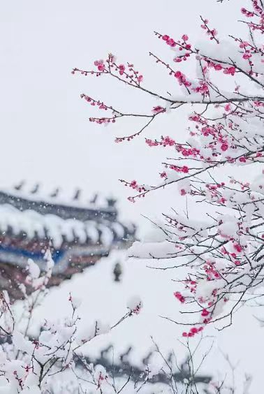 七绝&middot;大寒