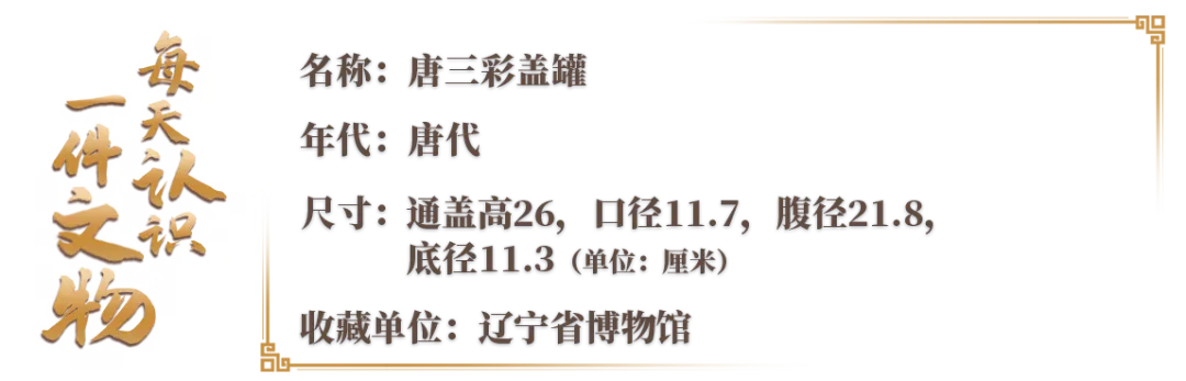 文博日历丨陶罐也讲究“穿搭” 来自大唐的陶艺美学