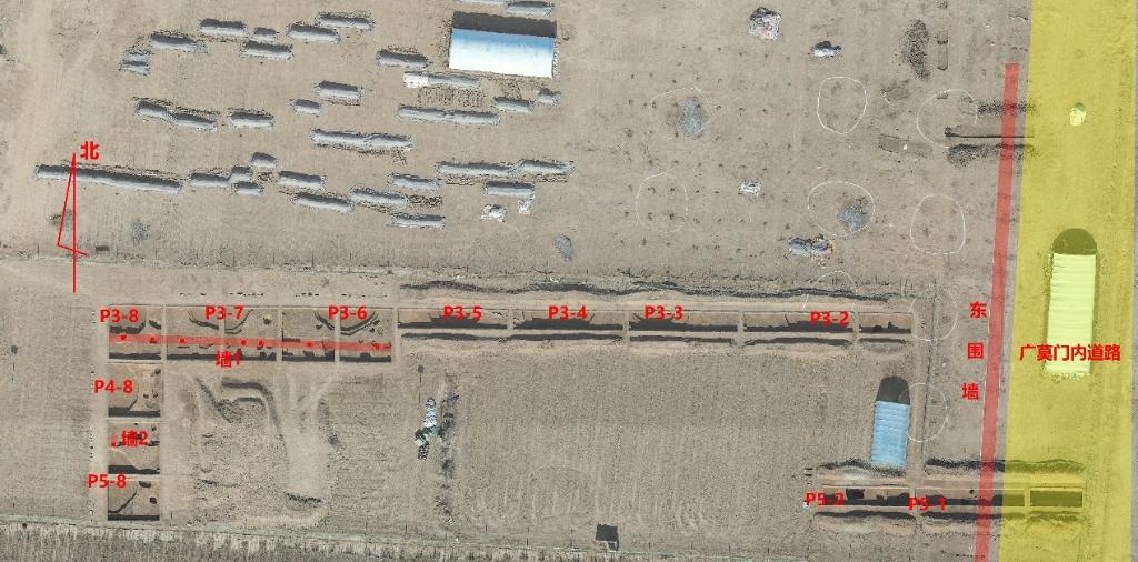 河南汉魏洛阳城遗址发现北魏“国家粮仓”