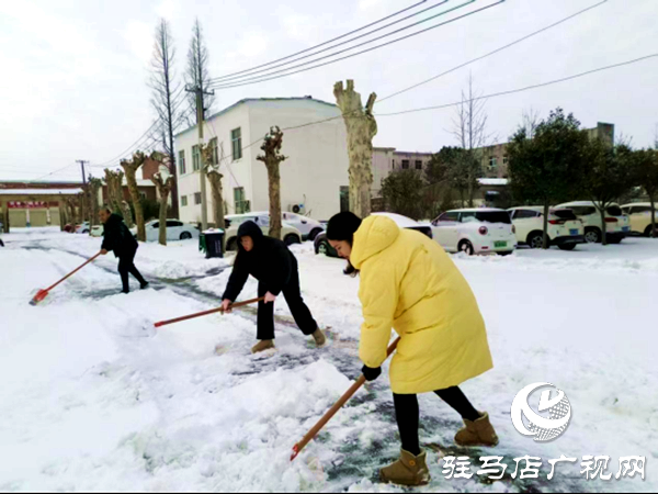 遂平县花庄镇：清雪除障战严寒 干群同心保畅通