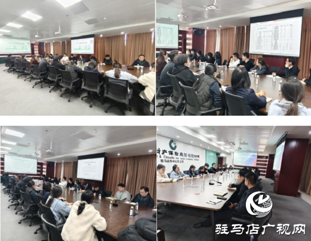 中国人寿财险驻马店公司召开2025年理赔经营分析会