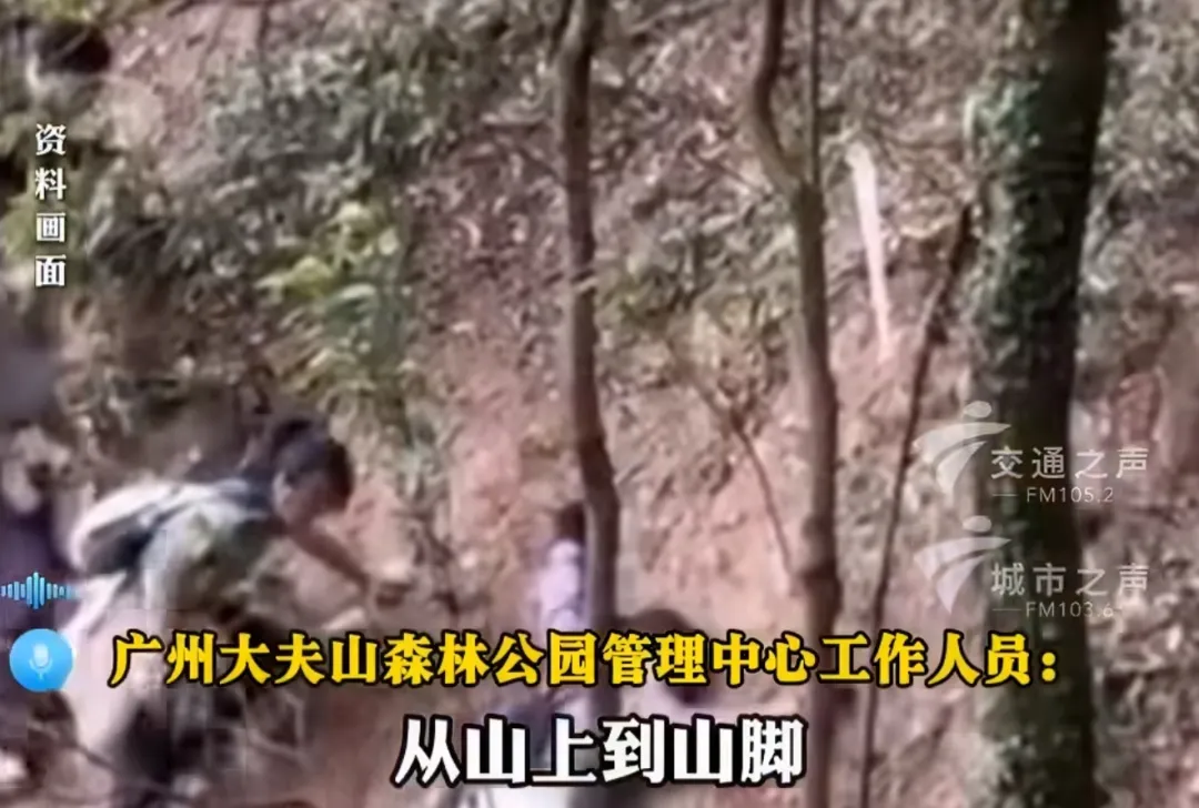 马年“画马”路线被叫停后,官方再出手!