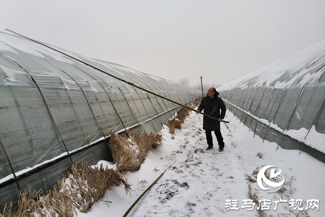 驿城区香山街道：党建引领战风雪 干群同心保民生
