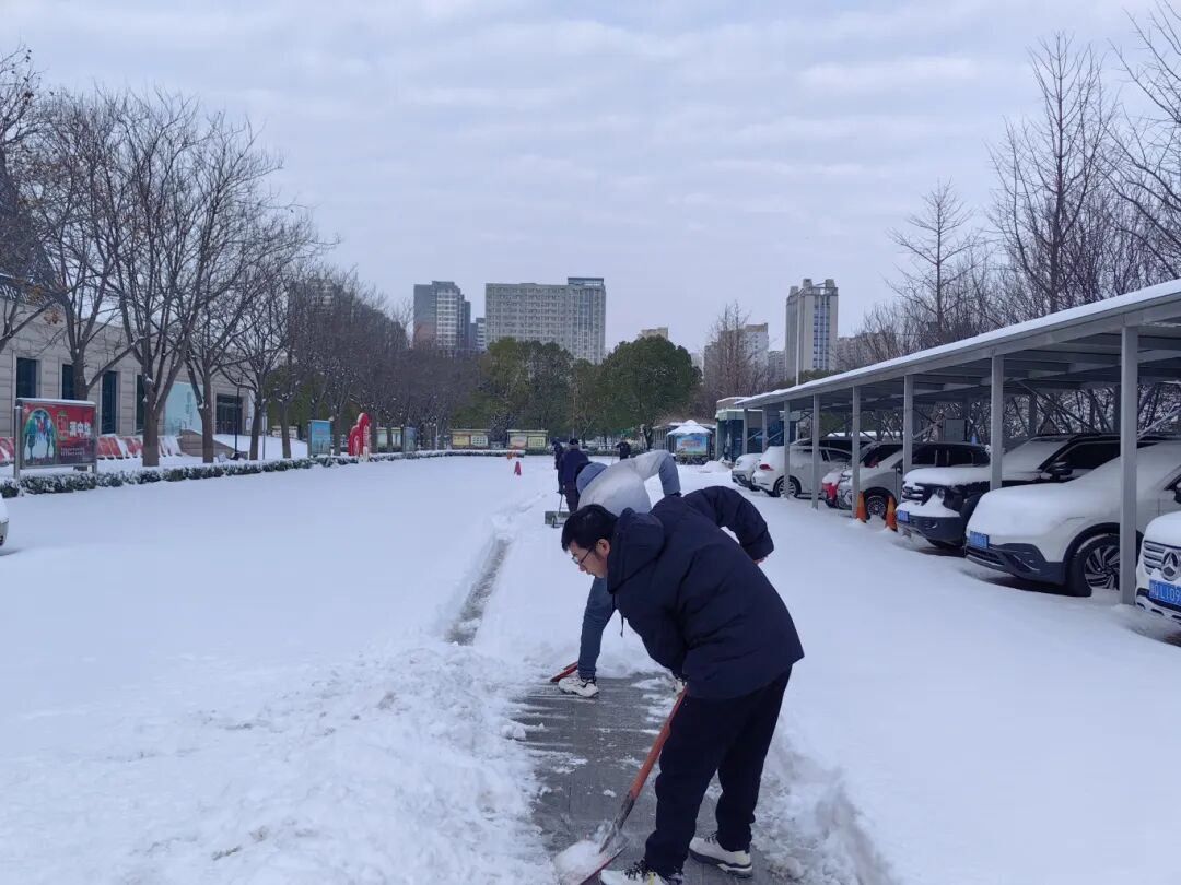以雪为令，志愿先行！驻马店市文化广电和旅游系统全力开展铲冰除雪志愿服务