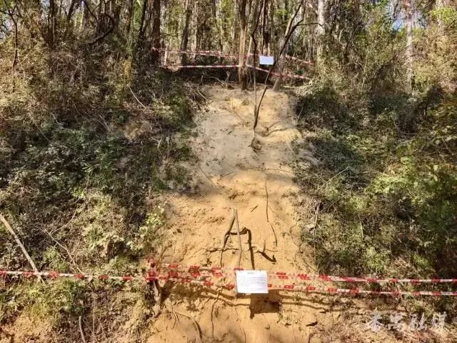 马年“画马”路线被叫停后,官方再出手!