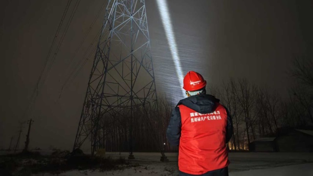 国网平舆县供电公司：雪夜特巡护电网 鏖战寒潮守光明
